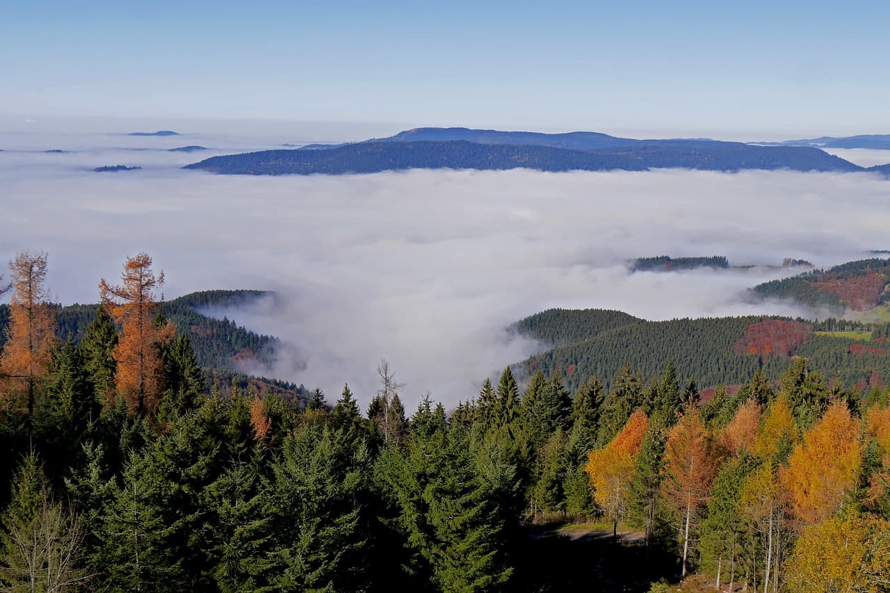 Cabrio-Abenteuer im Hochschwarzwald