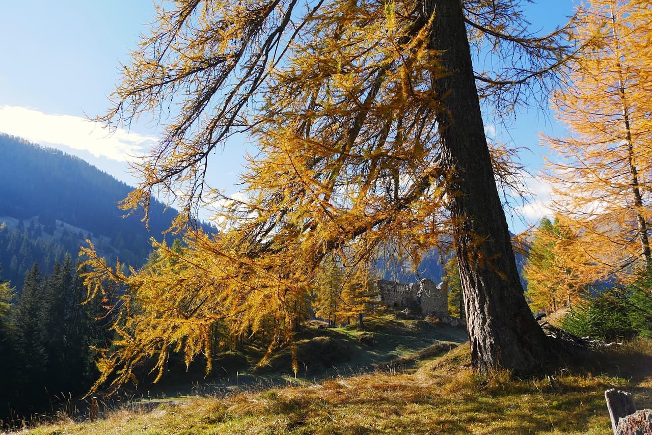 Splügen