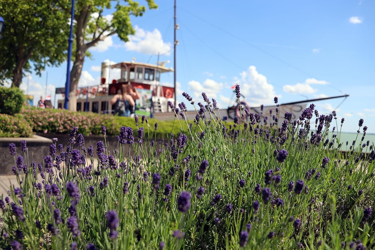Balaton