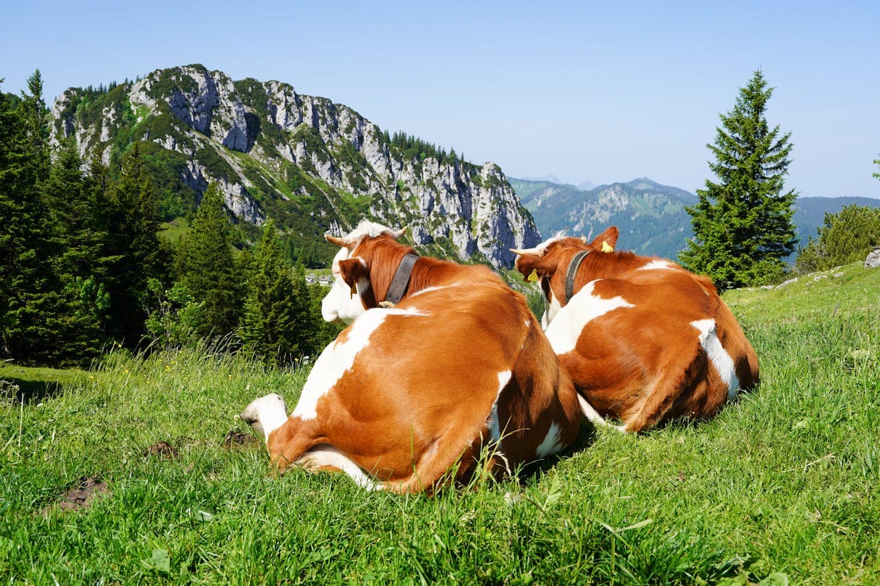 Familienfreundliches Allgäu