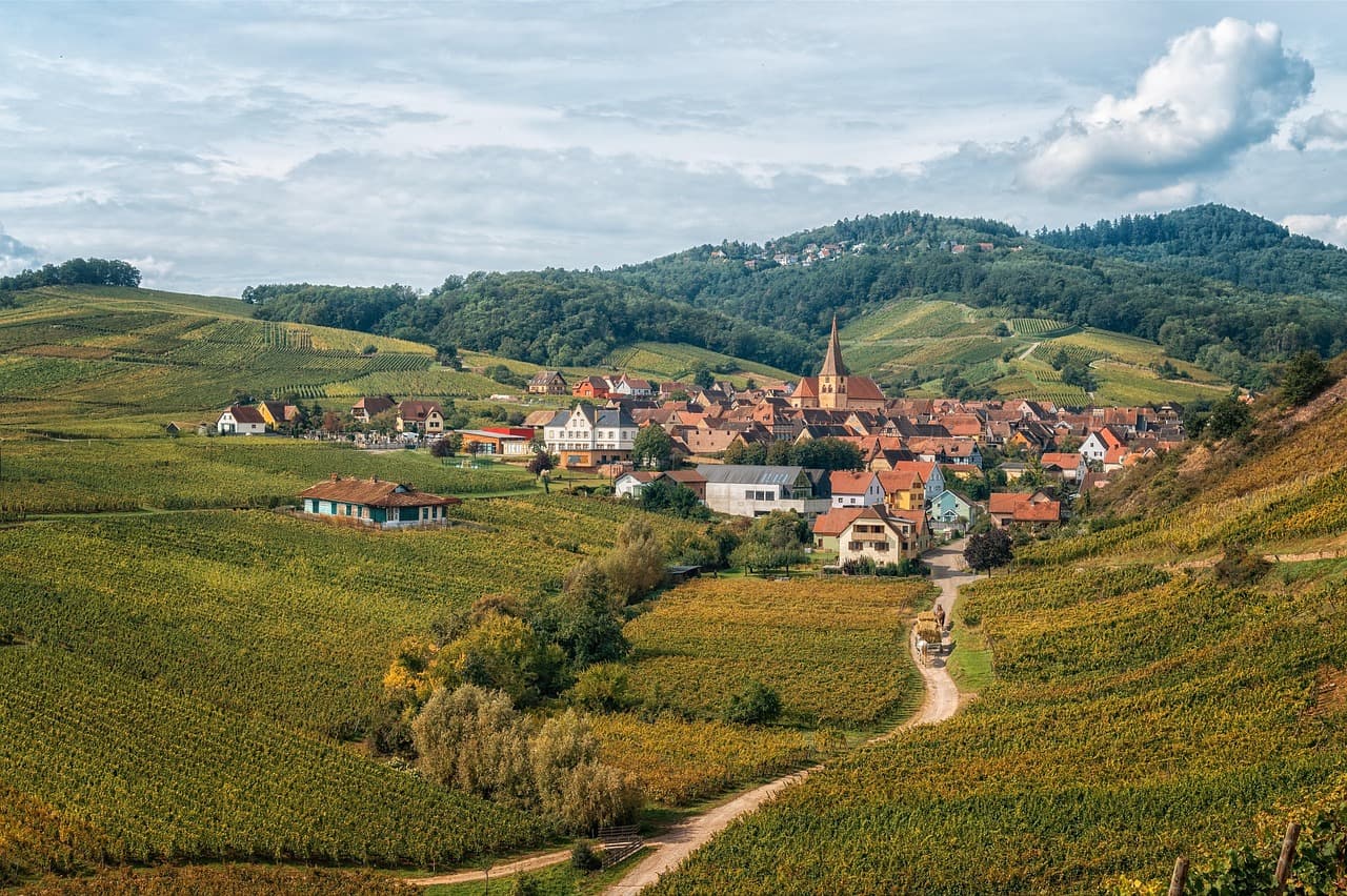 Weinregionen offen erleben: Elsass, Pfalz & Südtirol