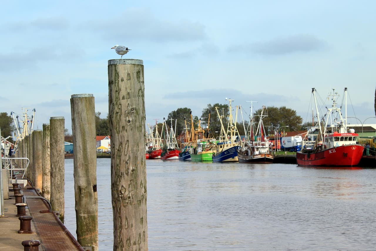 Puerto de Büsum