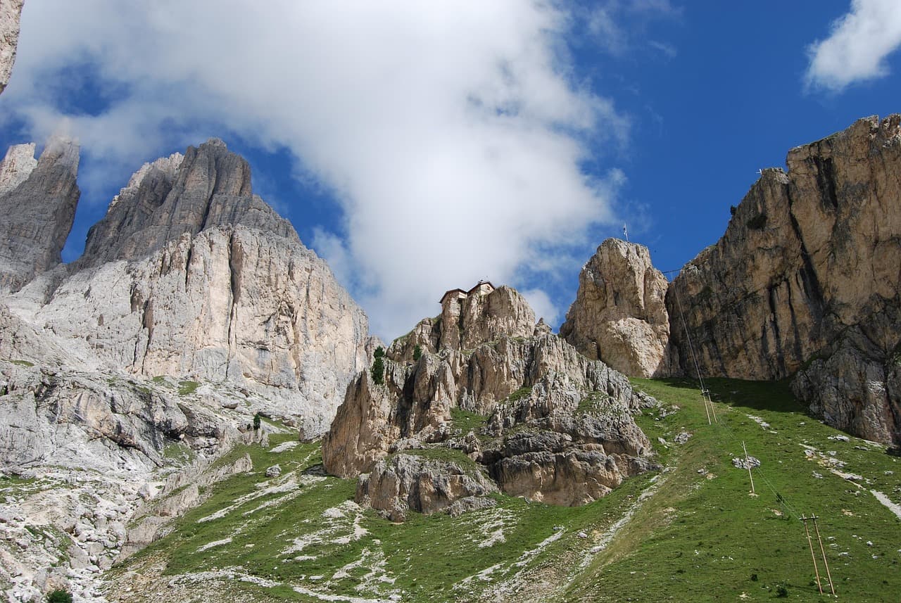 Tiers am Rosengarten
