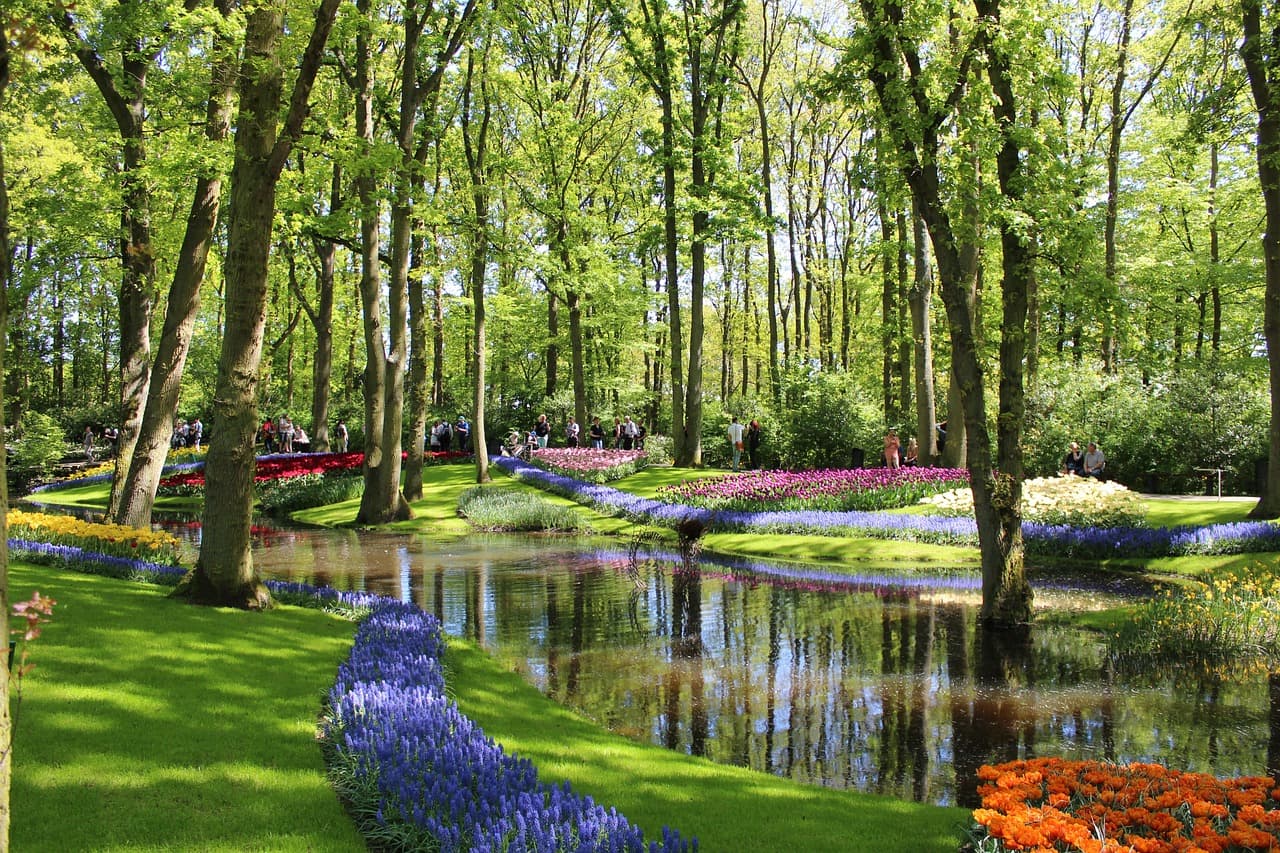 On the Bollenstreek route