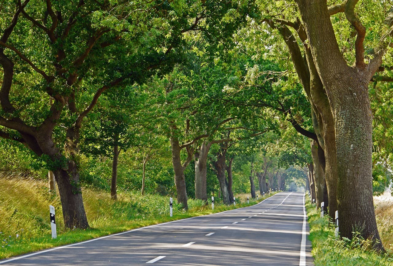 Of castles, avenues, and avenue streets