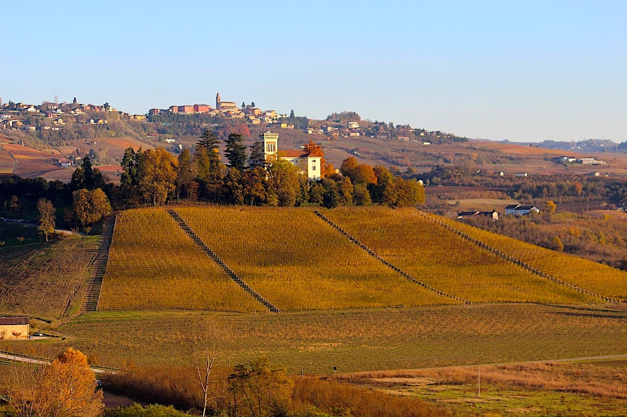 Barolo