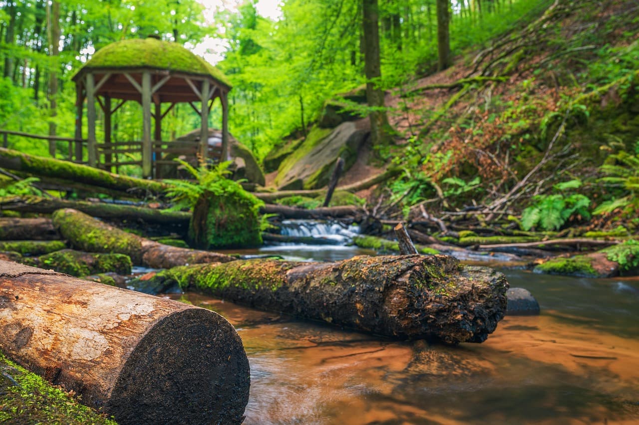 Die Top 5 Kurvenstrecken für Cabriotouren in Rheinland-Pfalz