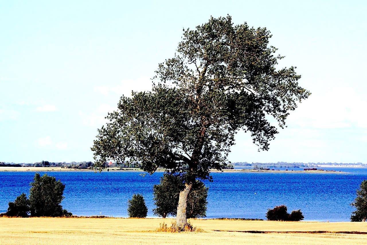 Lolland