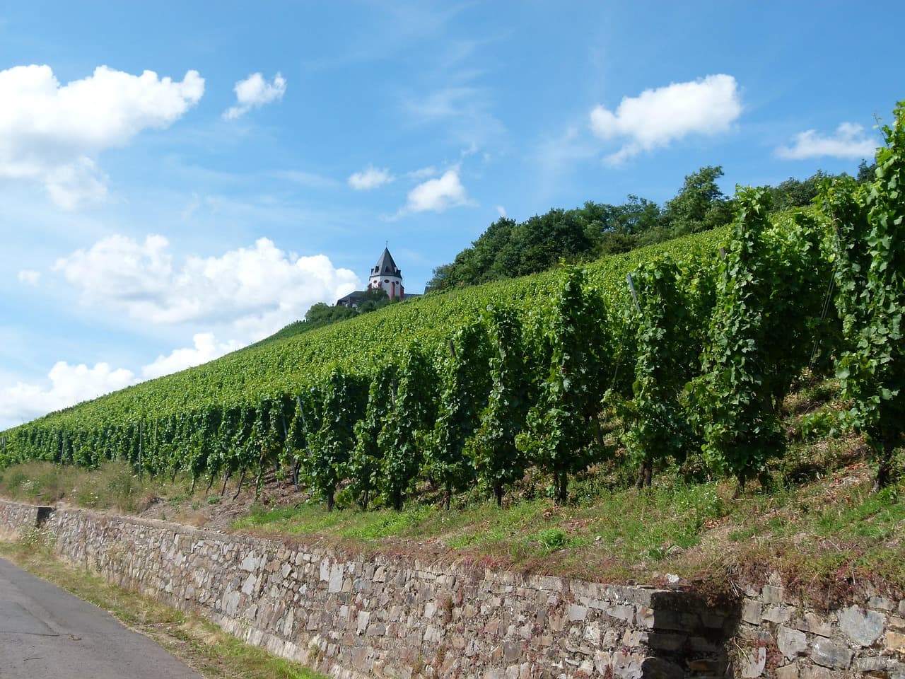 Zell an der Mosel