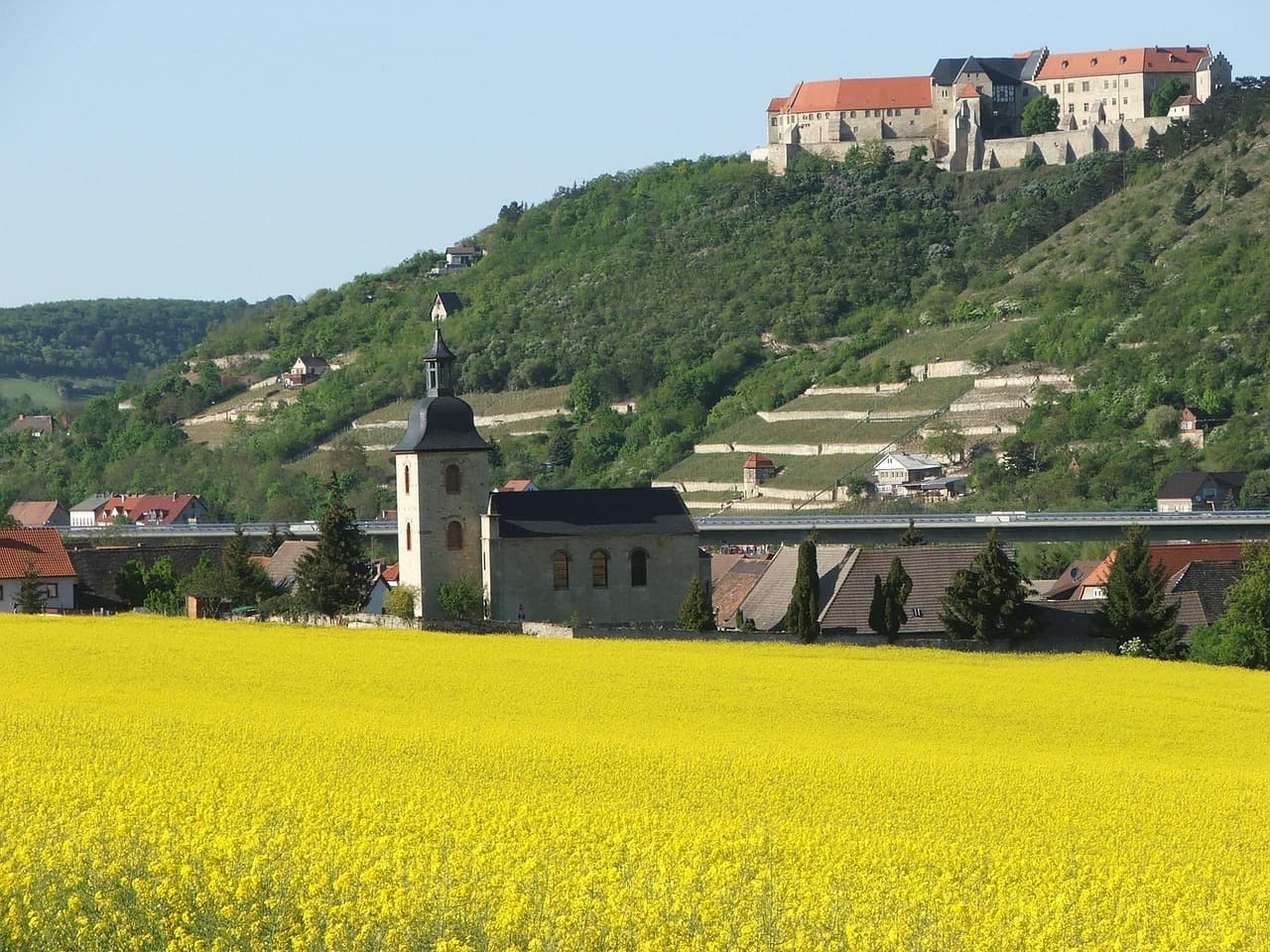 Freyburg (Unstrut)