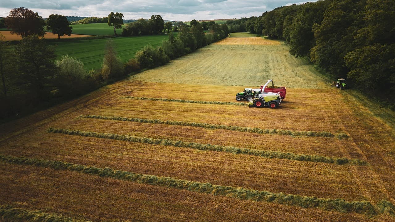 Durch Kraichgau-Stromberg
