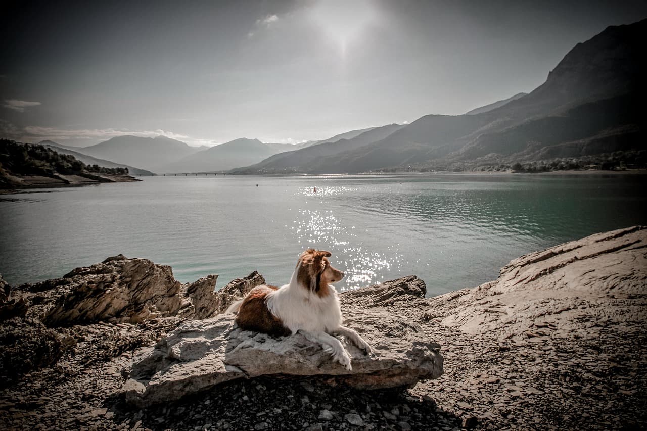 Lac de Serre-Ponçon