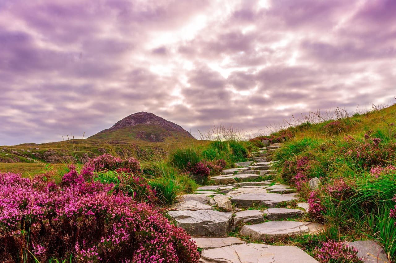 Cabriolet tours in Ireland
