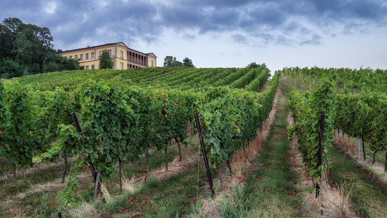 Schloss Villa Ludwigshöhe