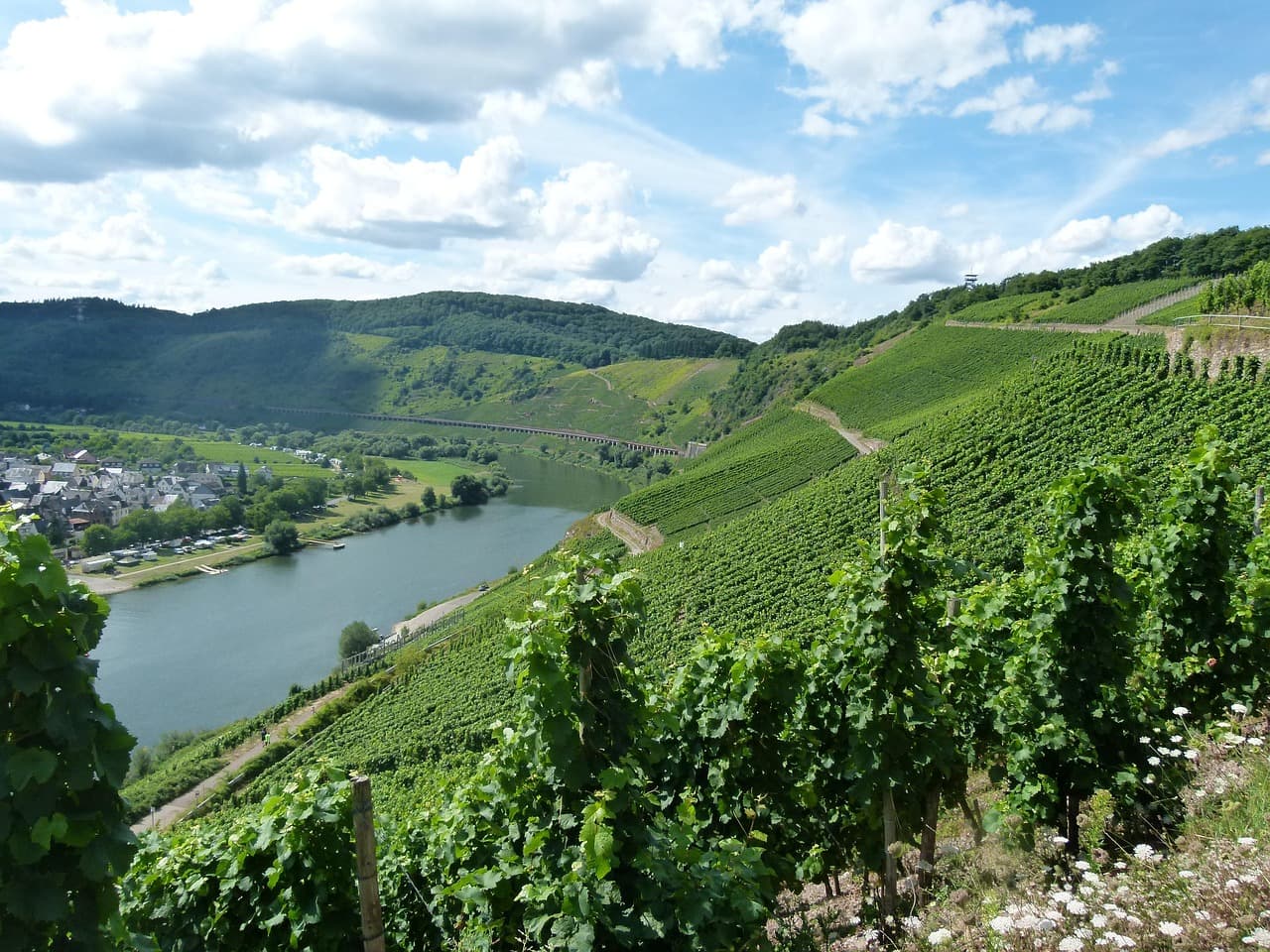 Pünderich