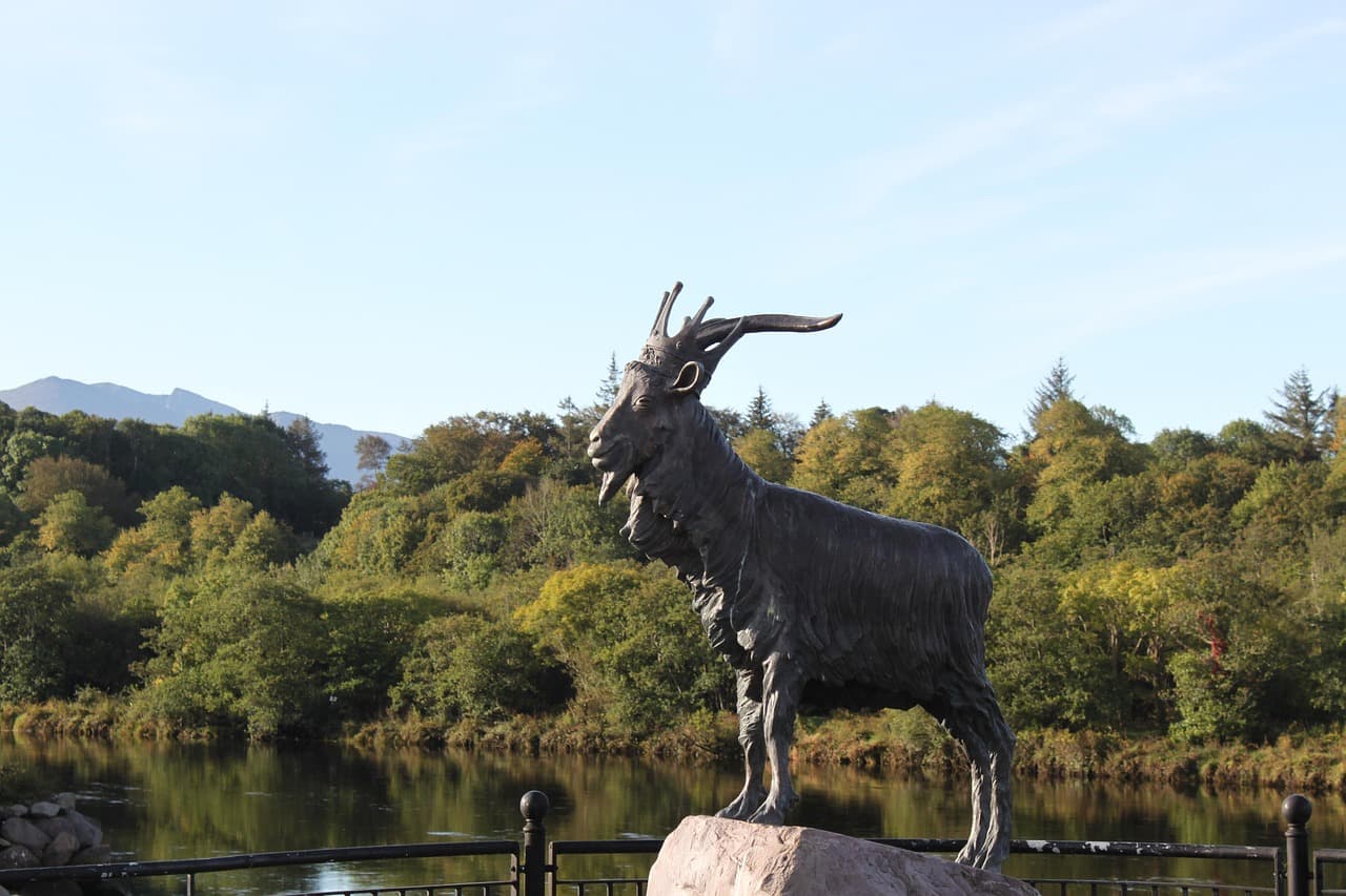 Killorglin