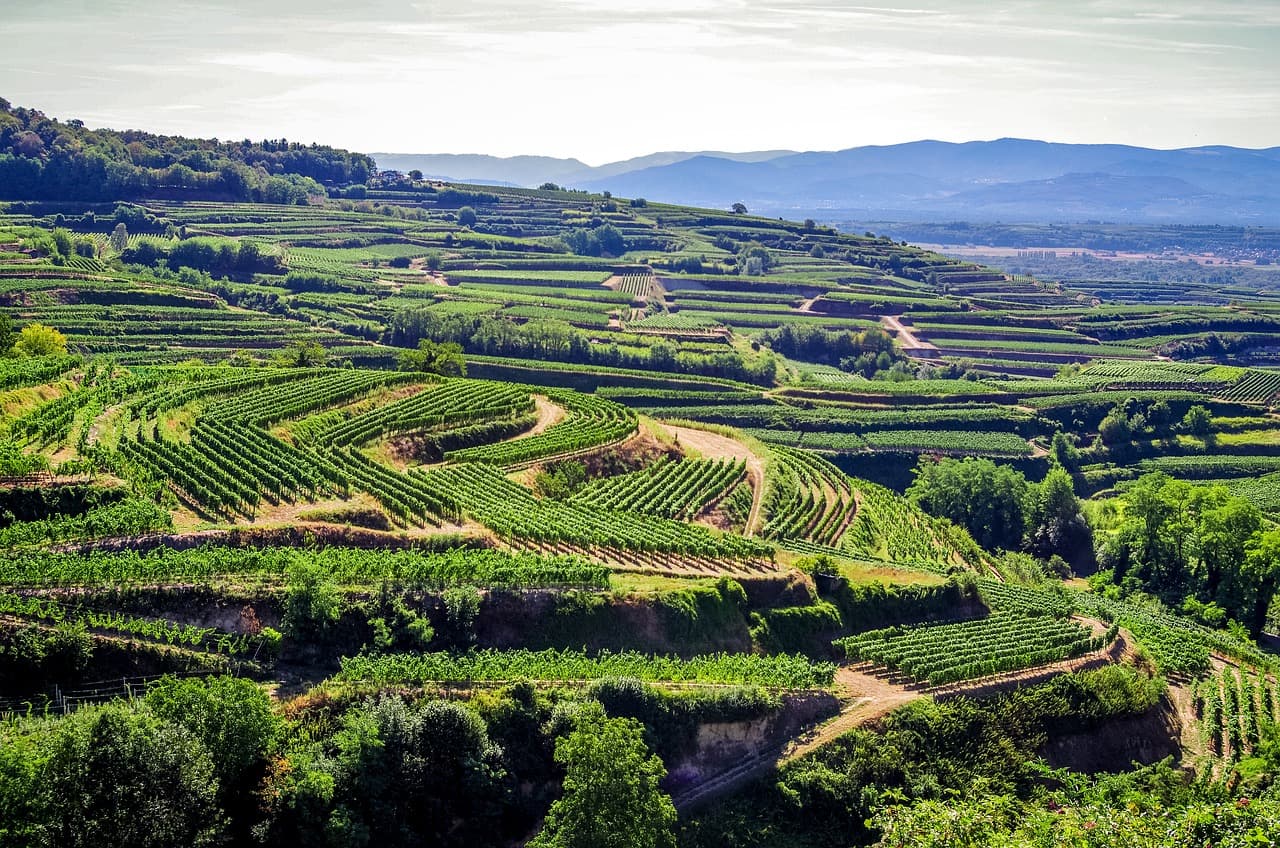 Kaiserstuhl