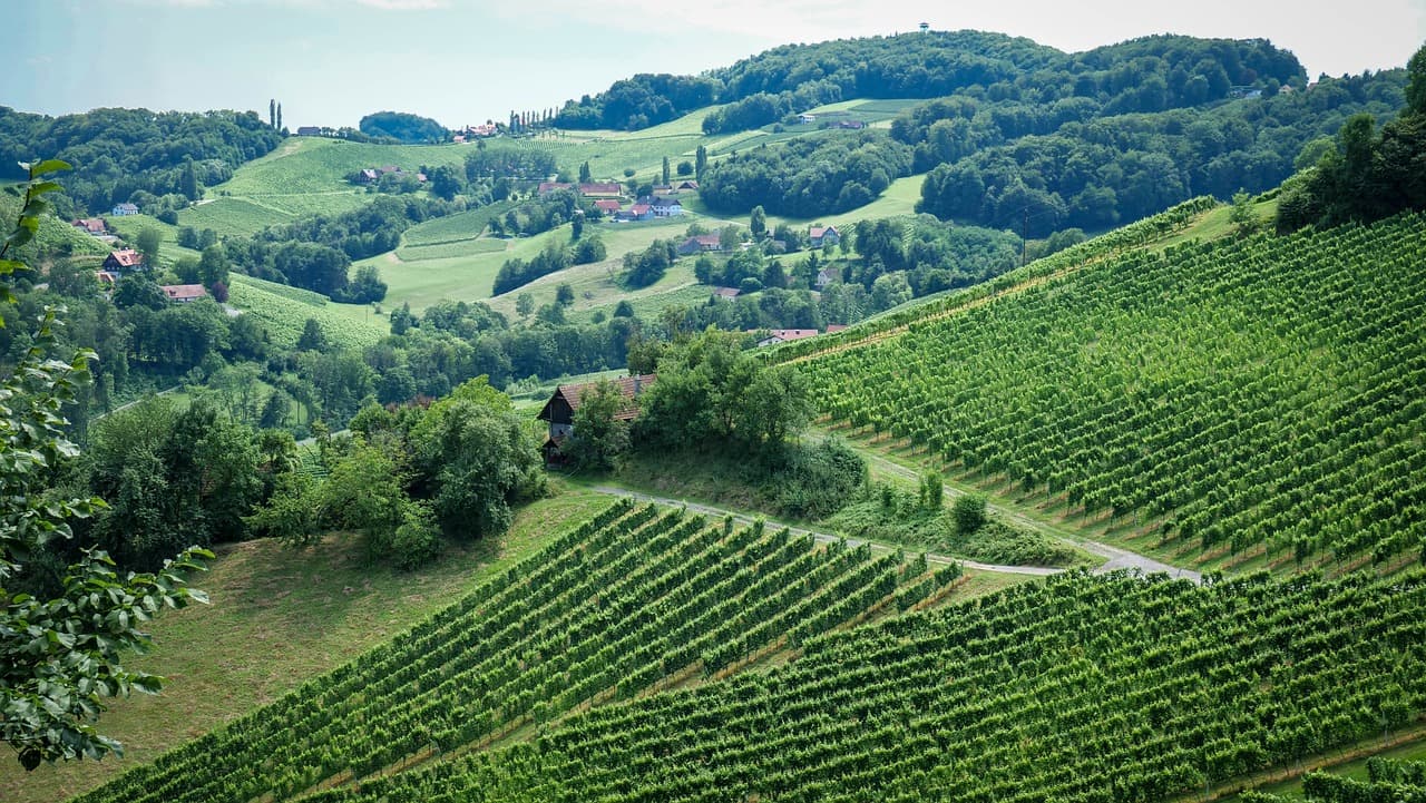 Österreichs Weinstraßen mit dem Cabrio