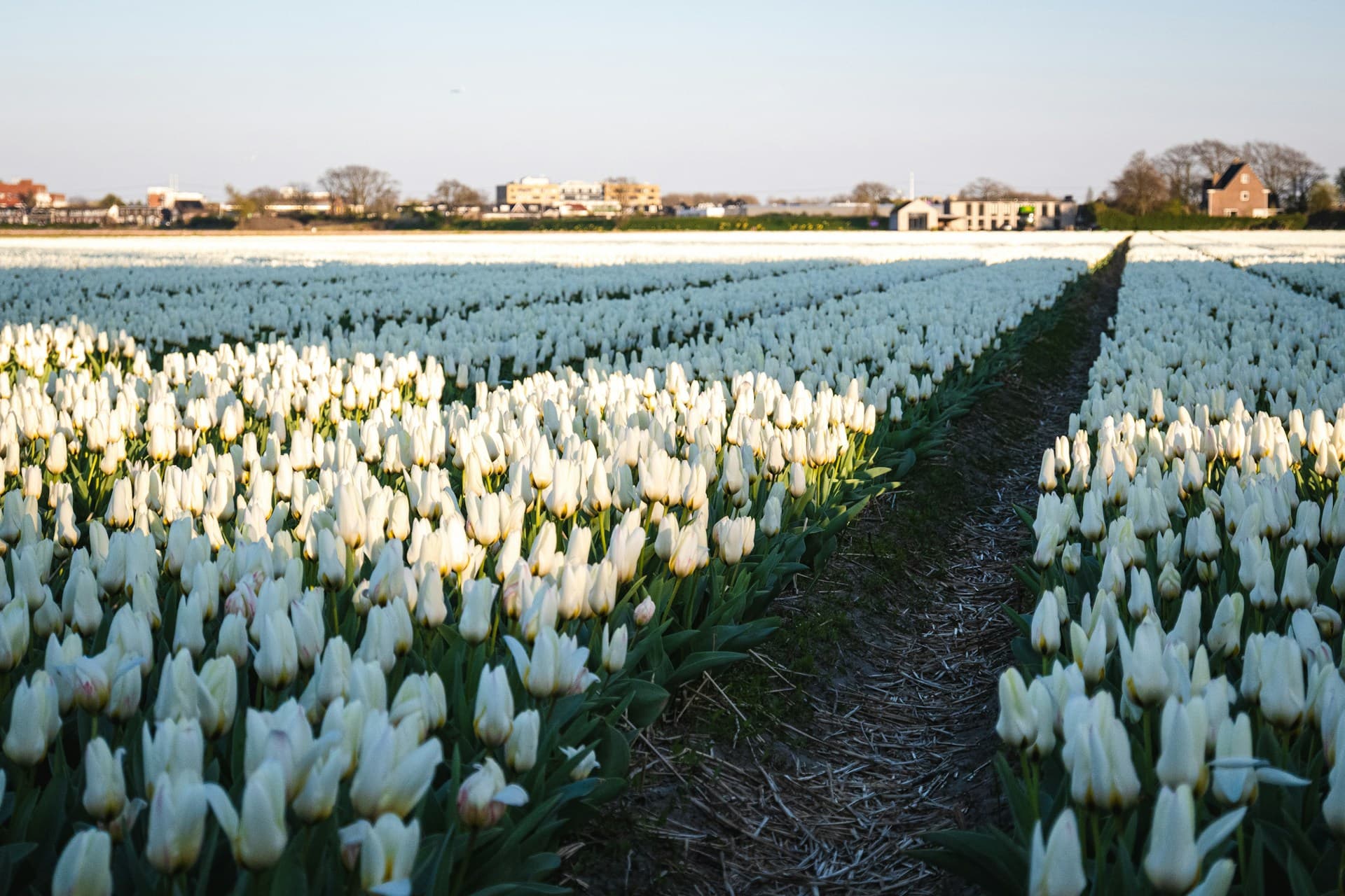 Noordwijk