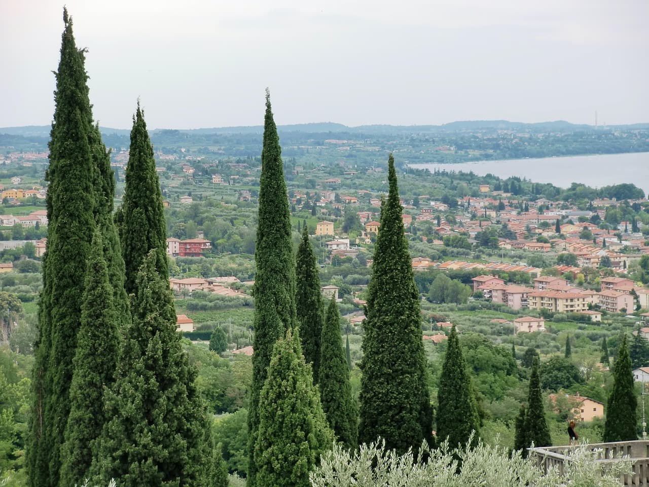 Bardolino