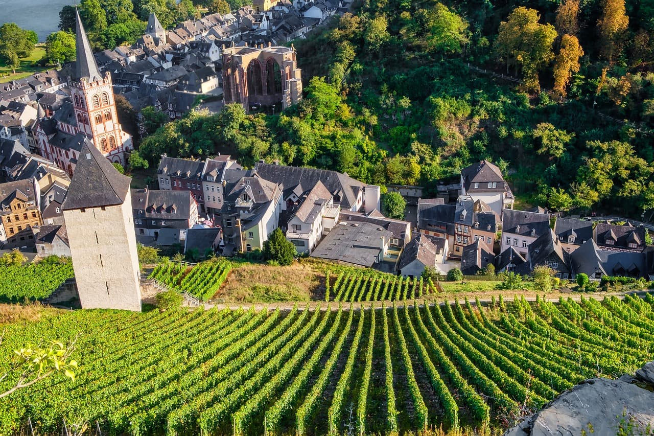 Bacharach