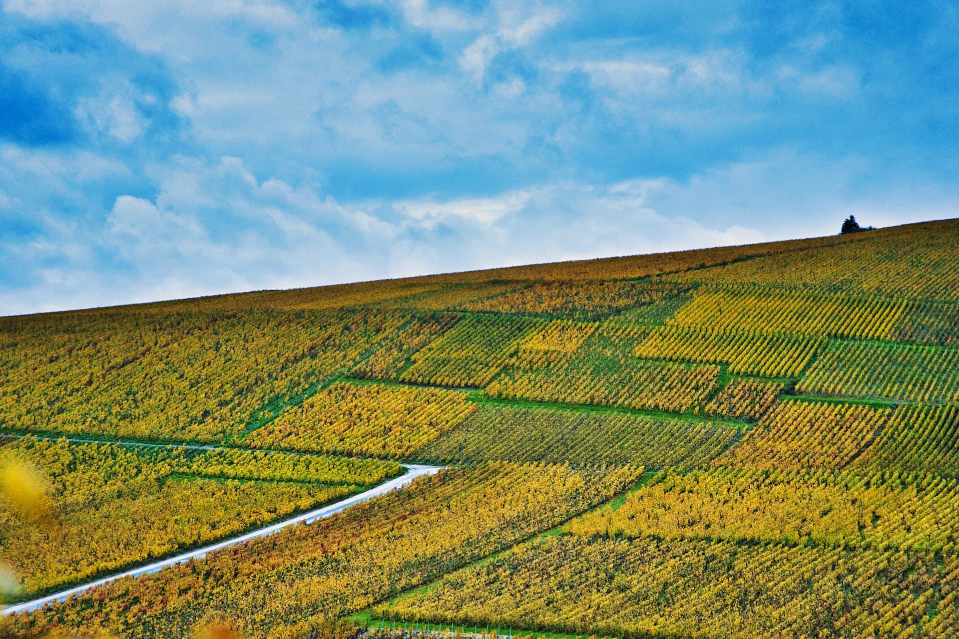 Route Touristique du Champagne