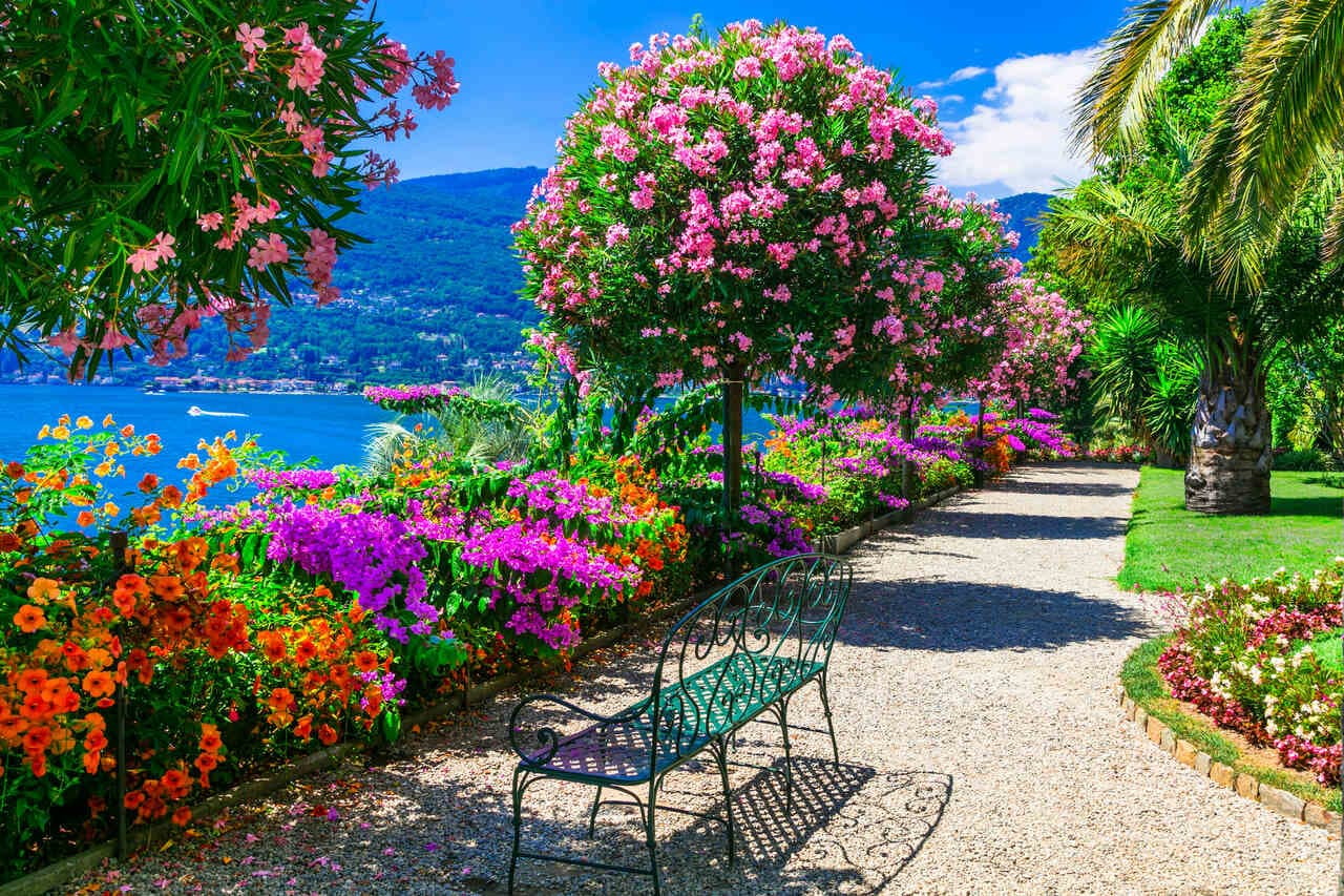 Lago Maggiore