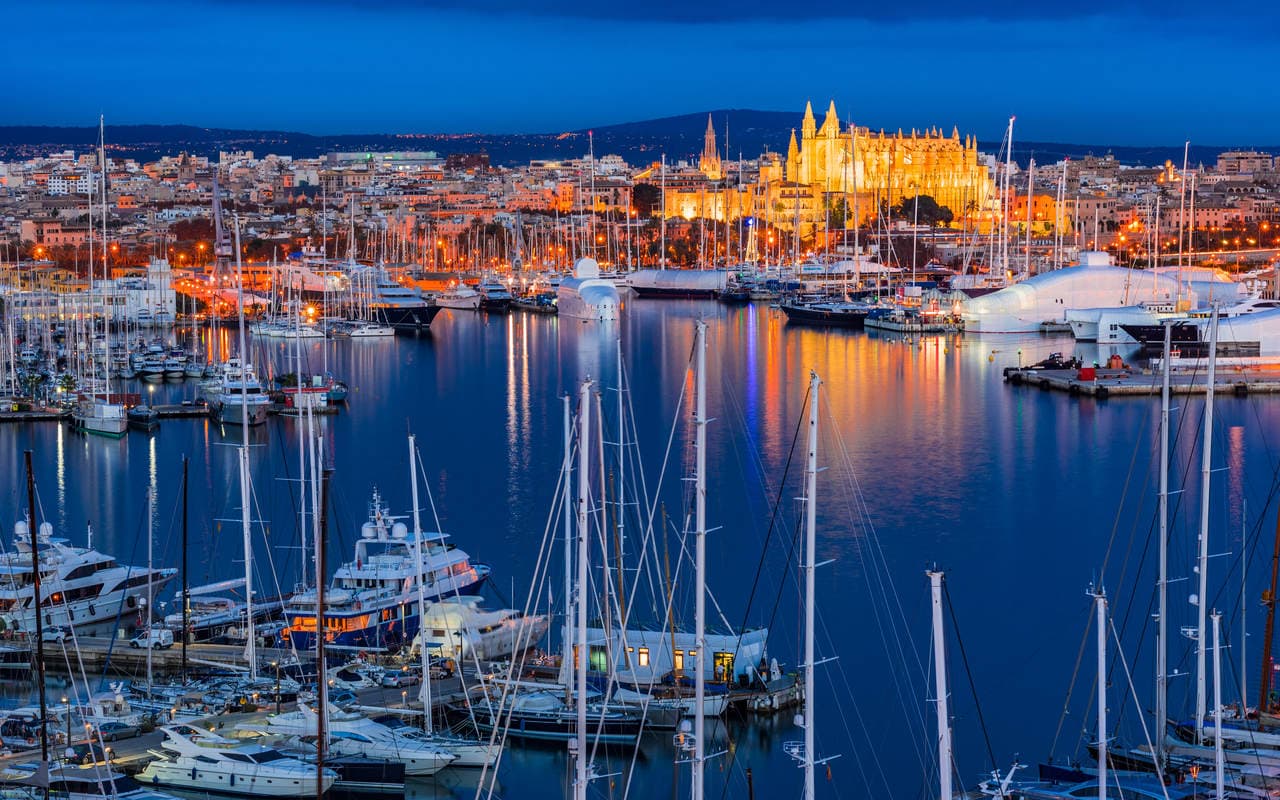 Palma