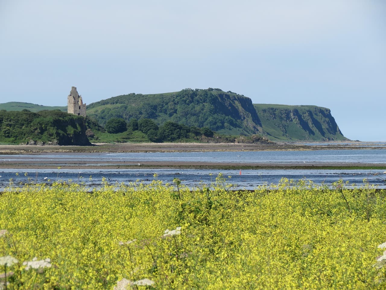 Ayr