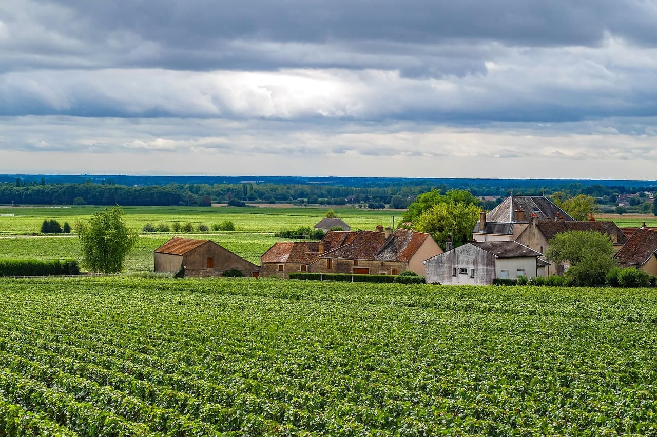 Die Französischen Weinrouten offen genießen