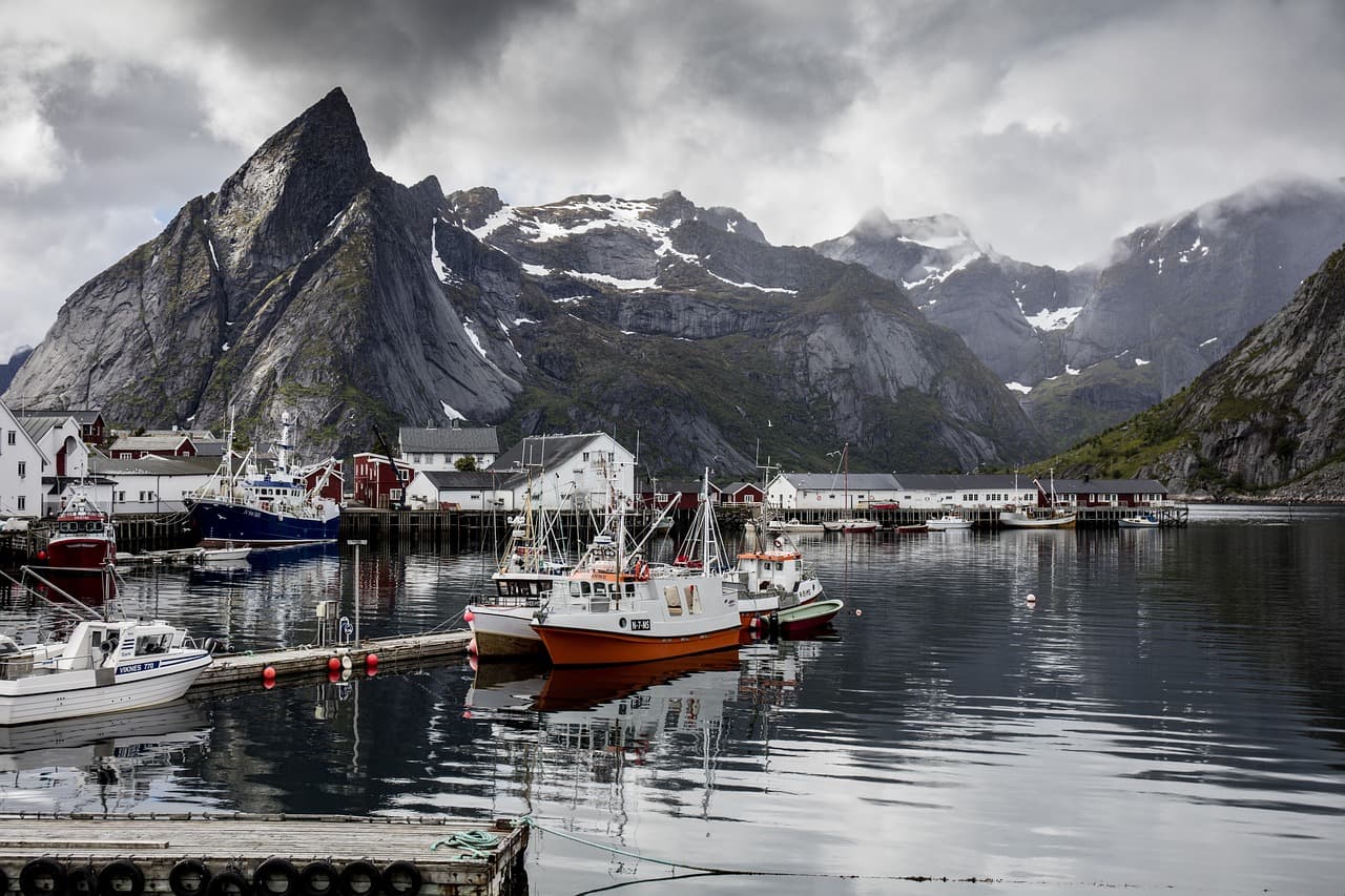 Reine