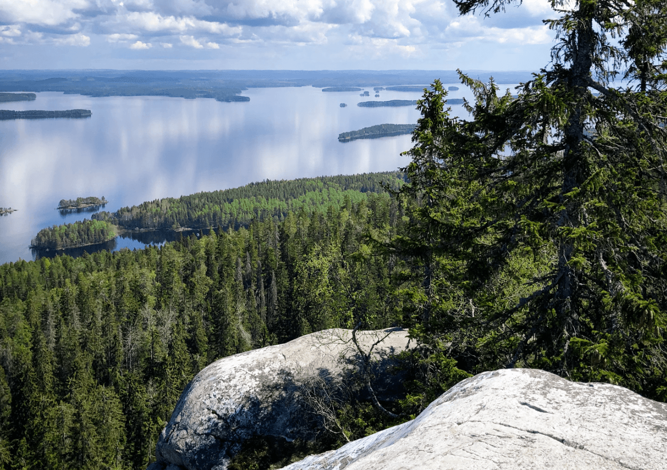 Koli