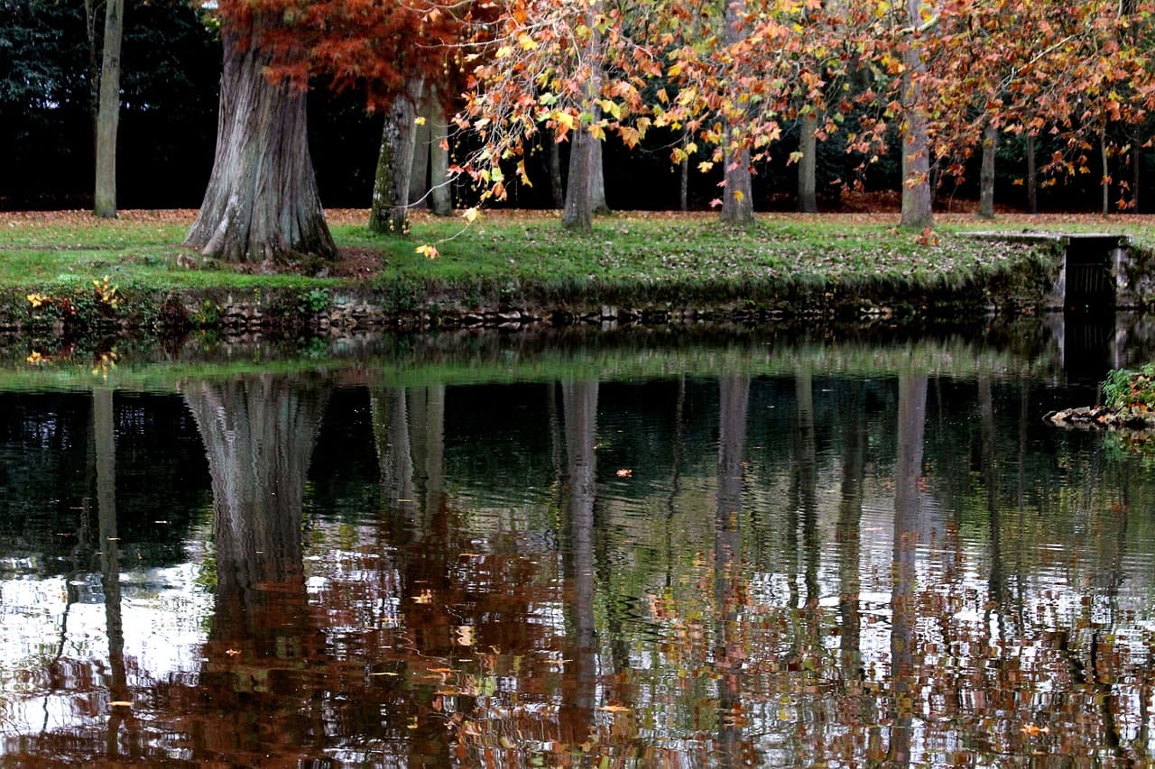 Forêt de Rambouillet