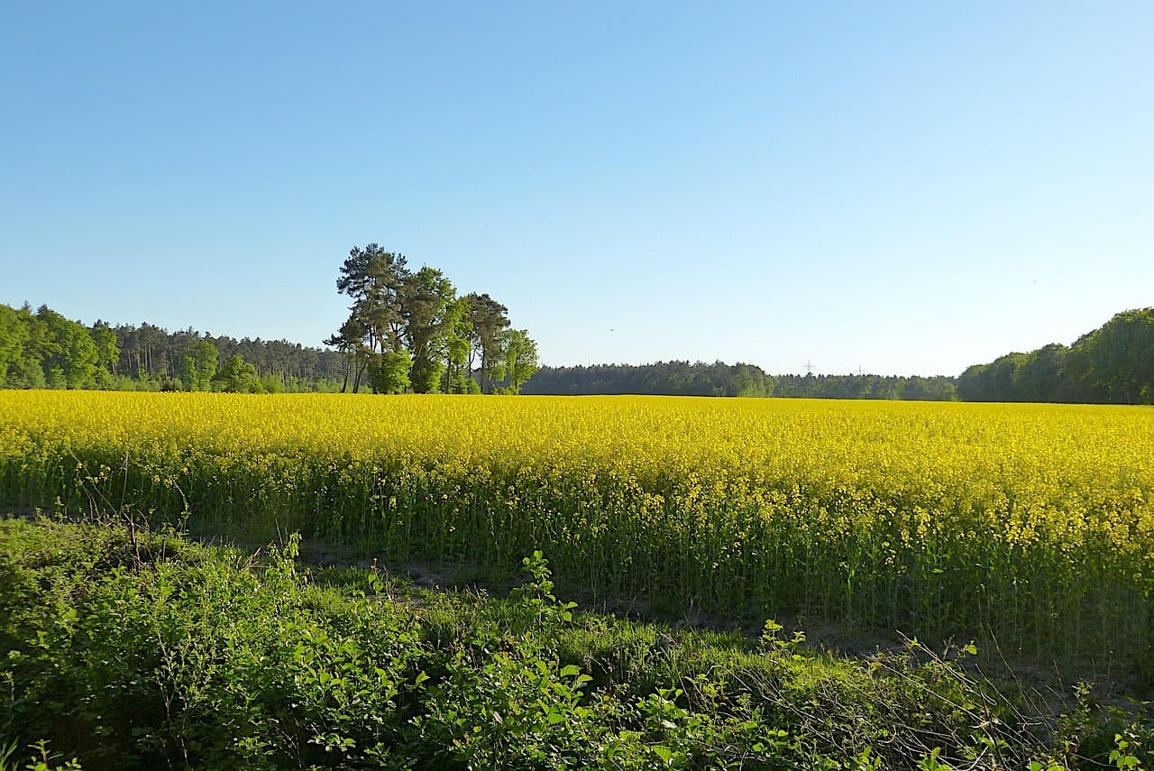 Oben offen durch das Emsland