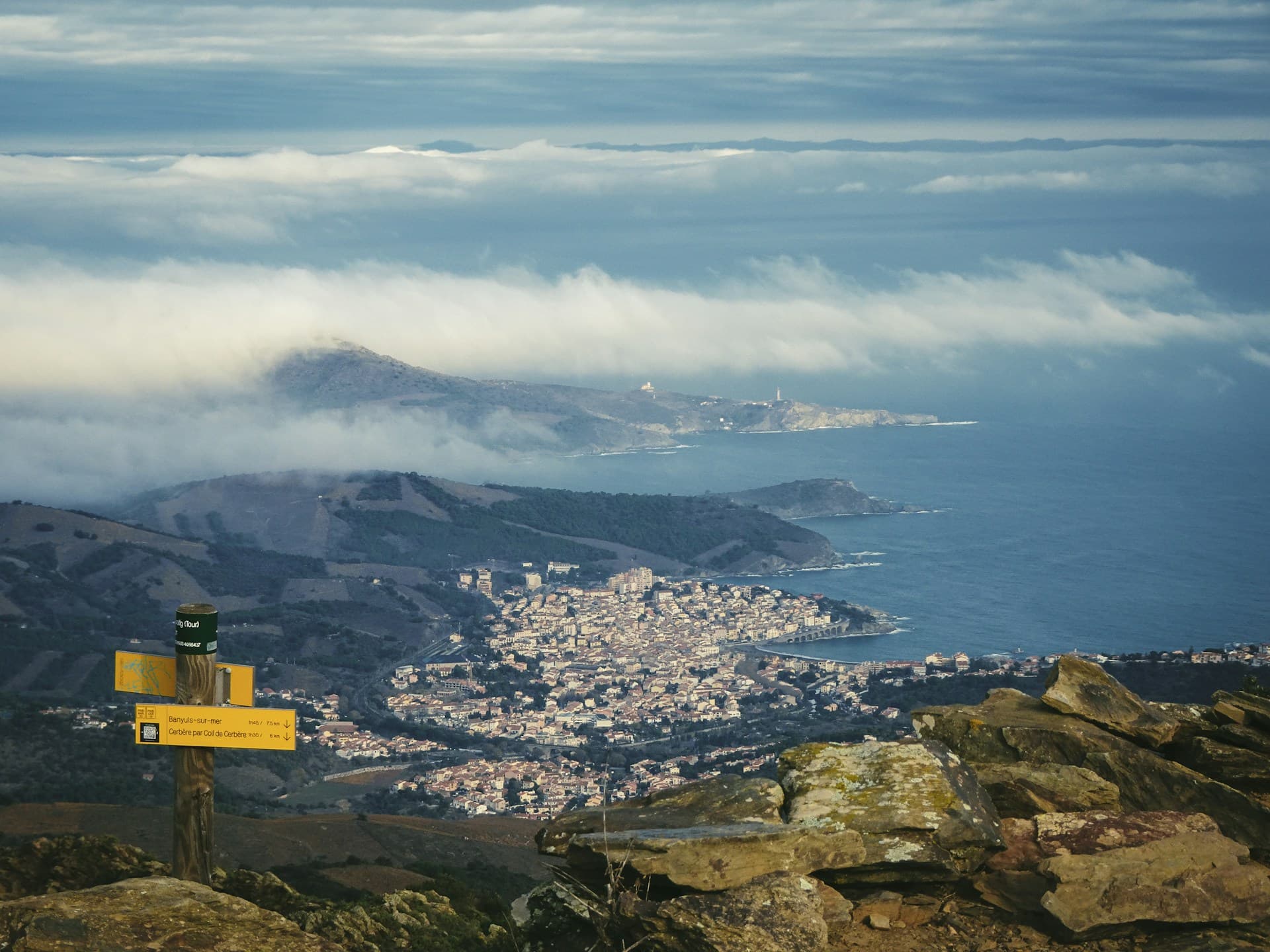 Banyuls