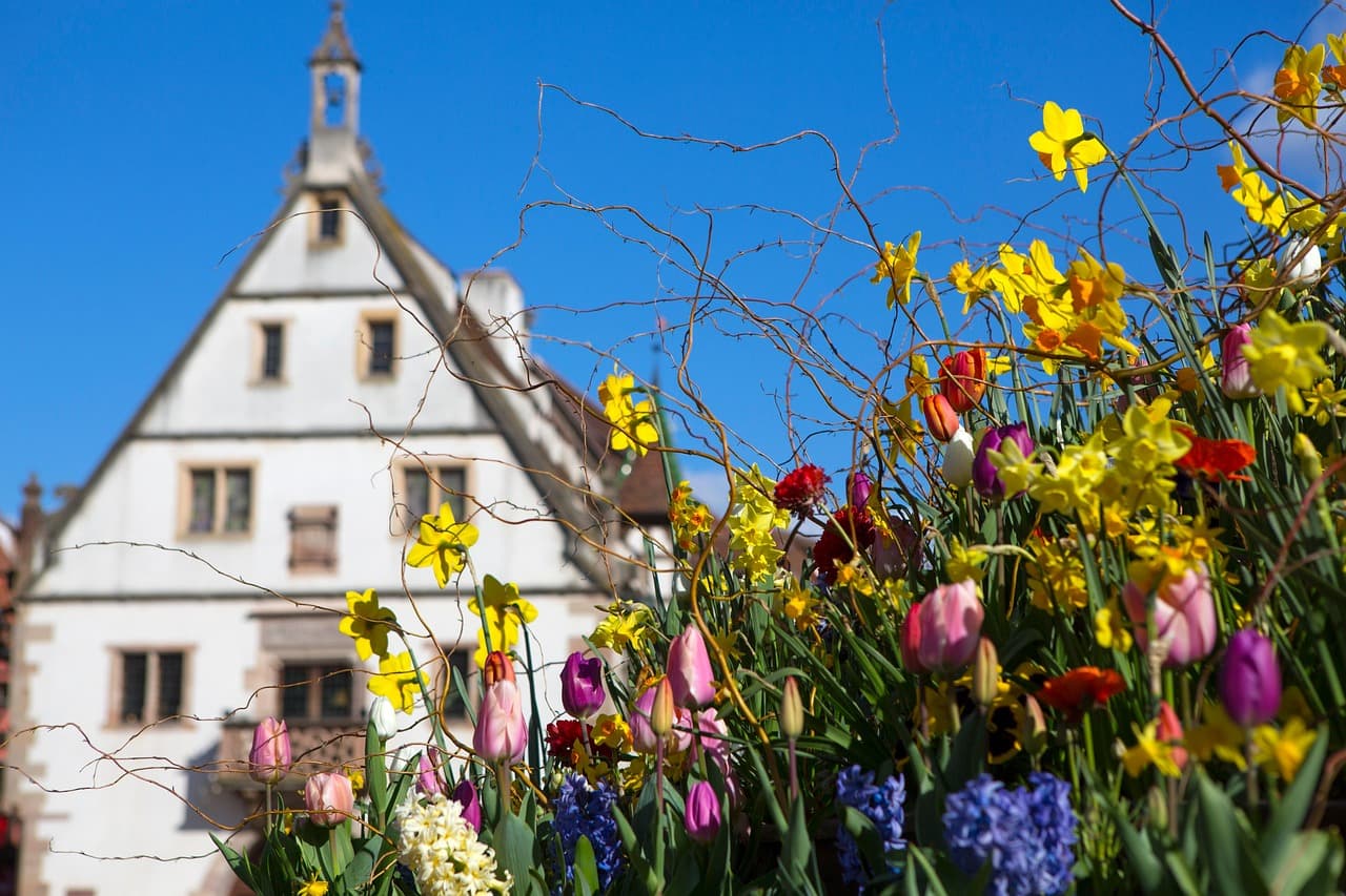 Obernai