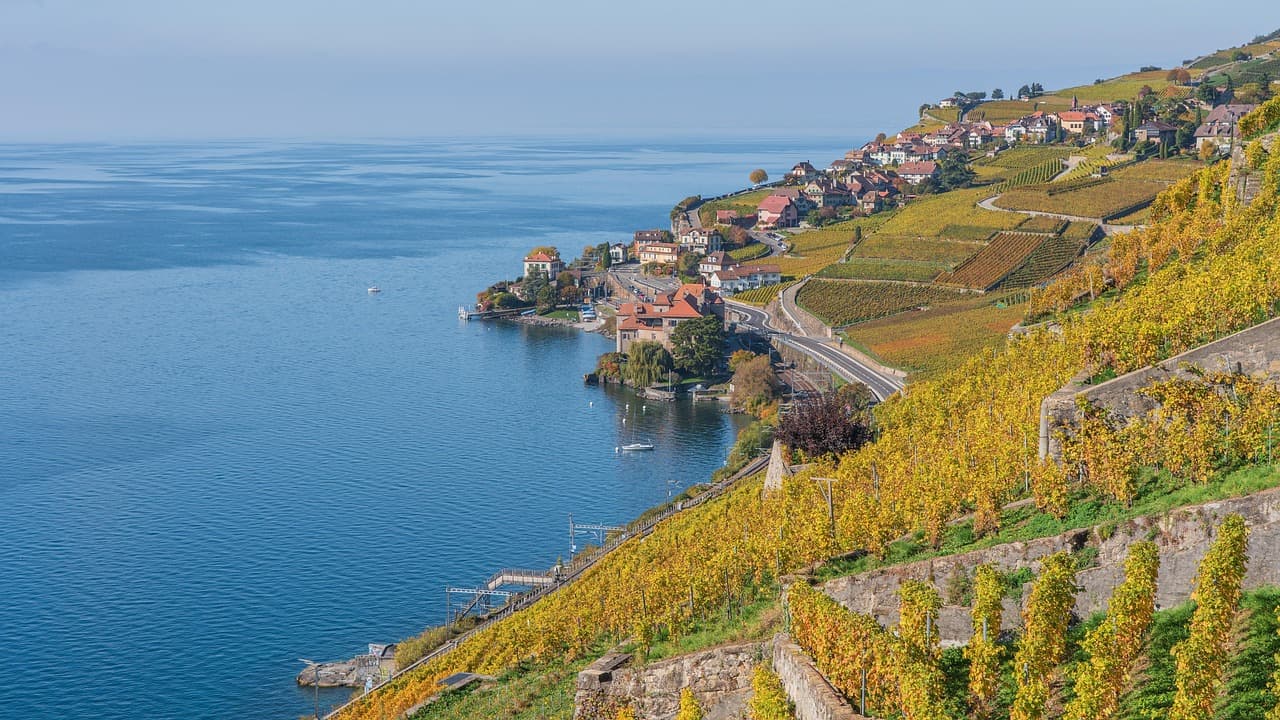 Lavaux Weinterrassen