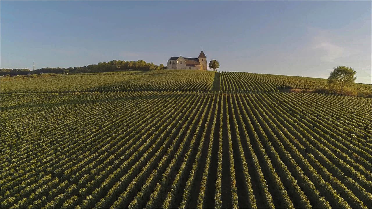 Montagne de Reims
