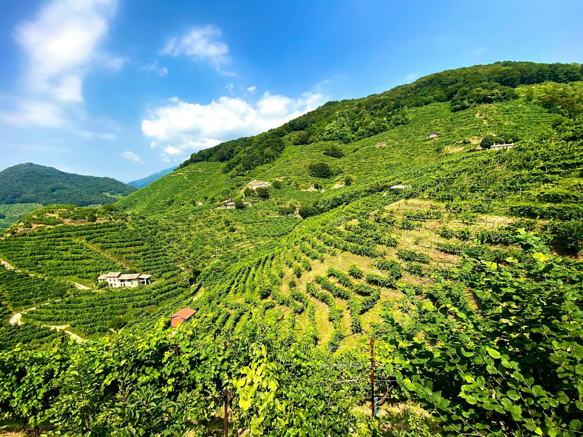 Farra di Soligo