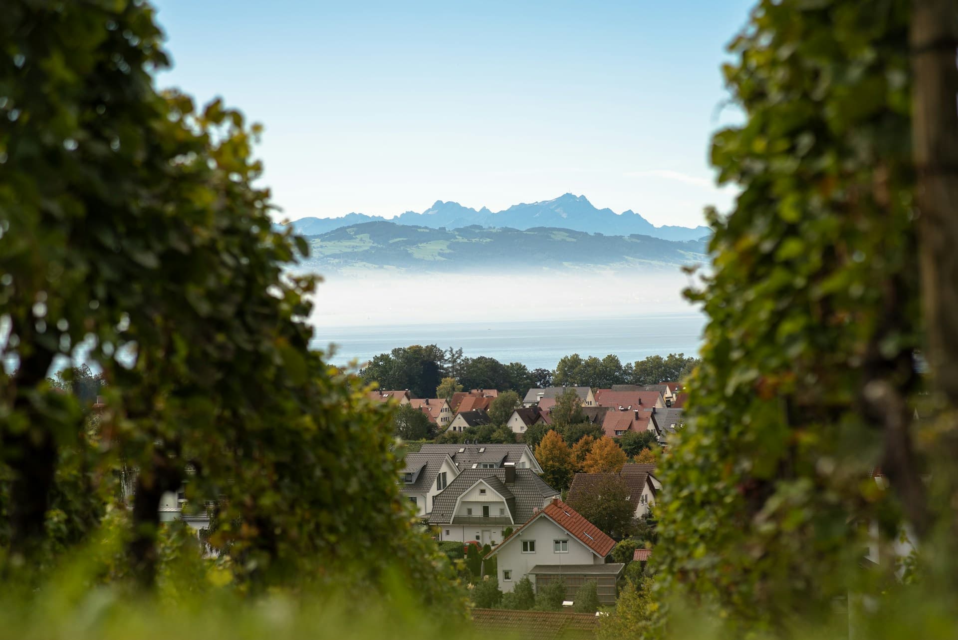 Kressbronn