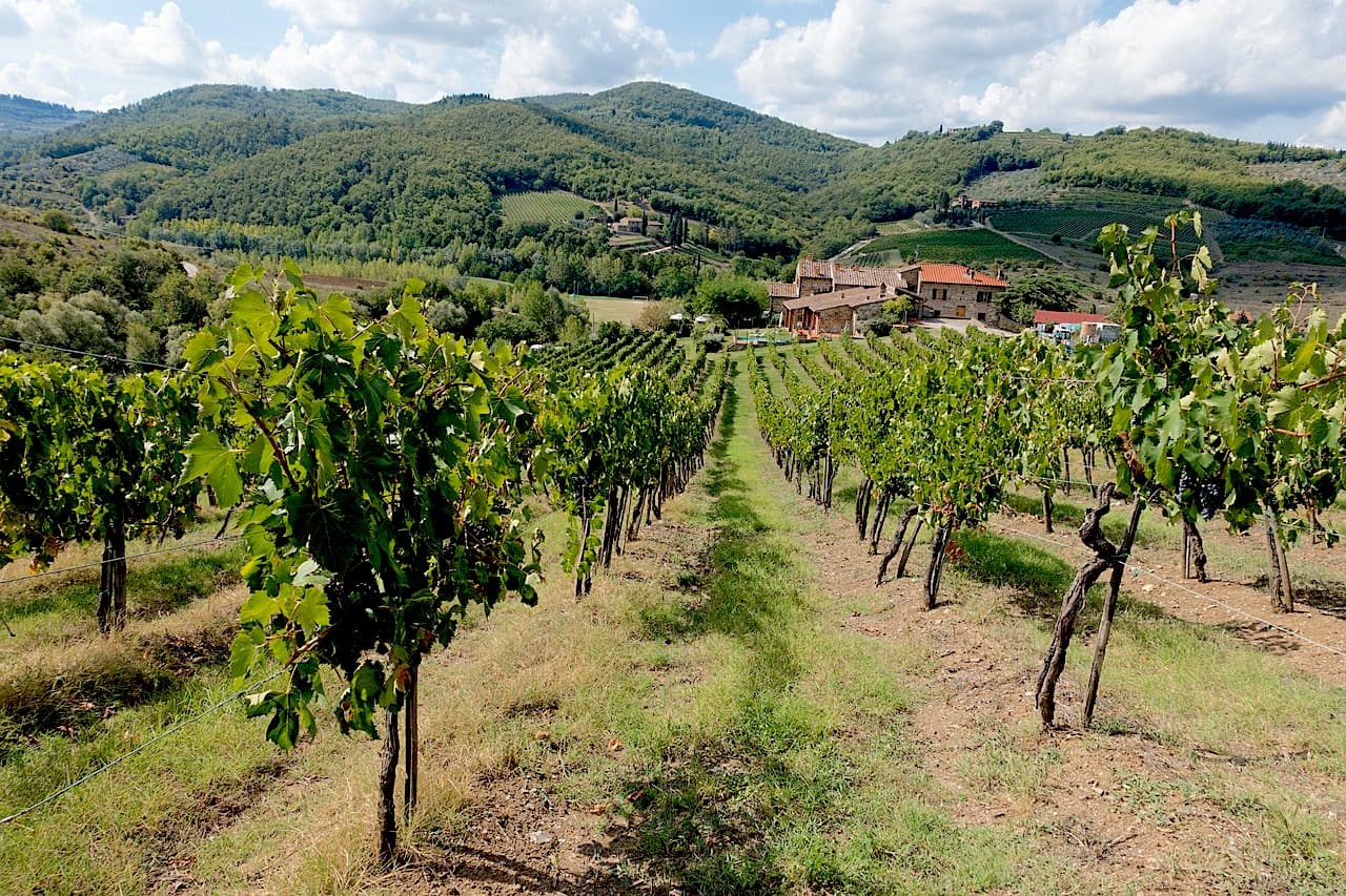 Chianti