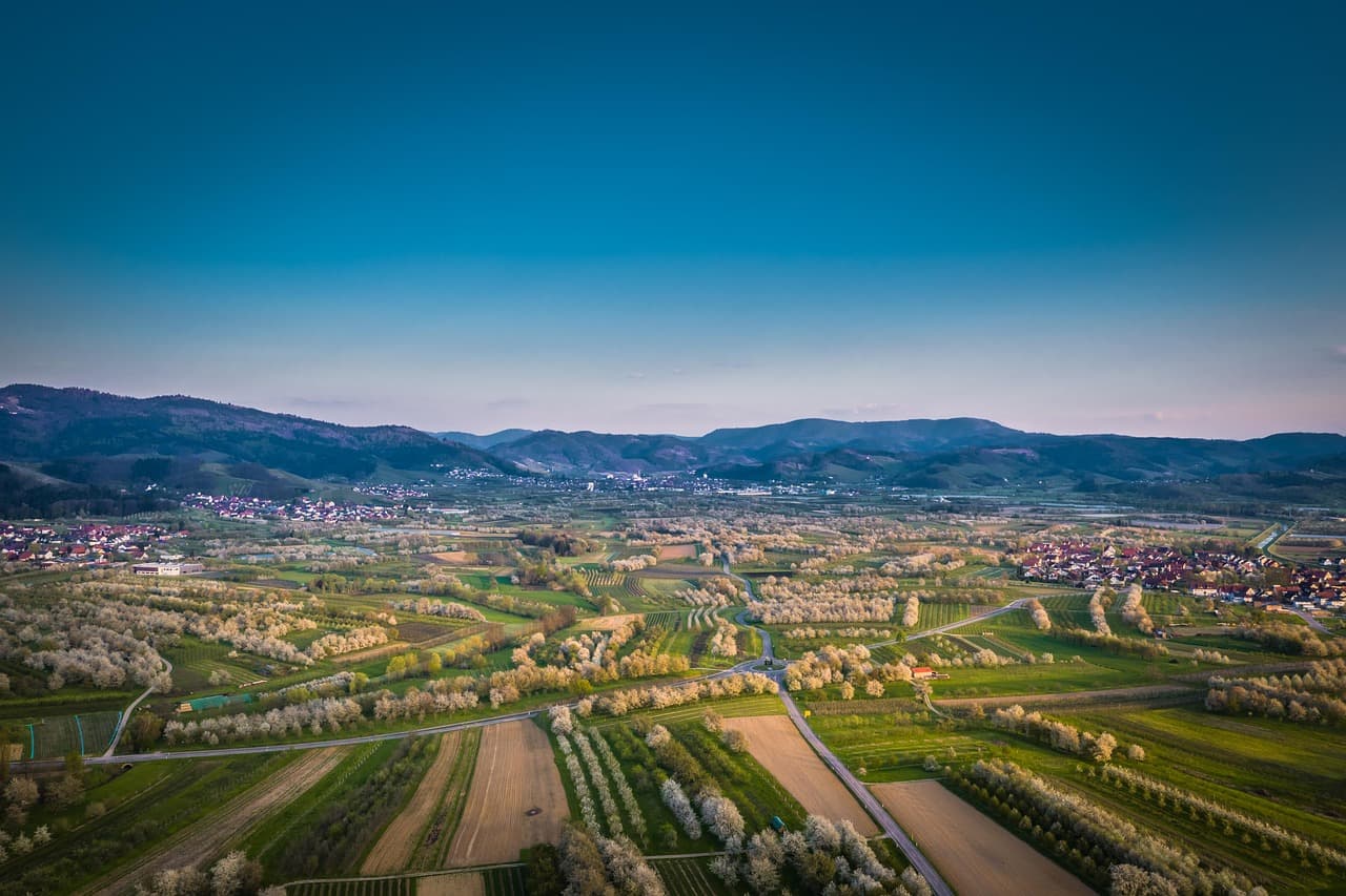 Ortenau