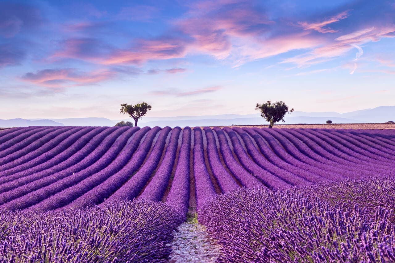 Durch die Provence